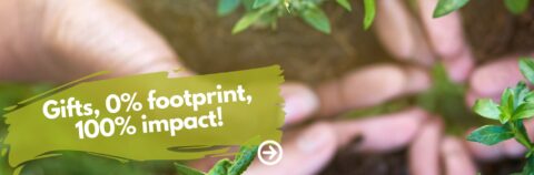 5 gift 0 procent foodprint, 100 procent impact klein