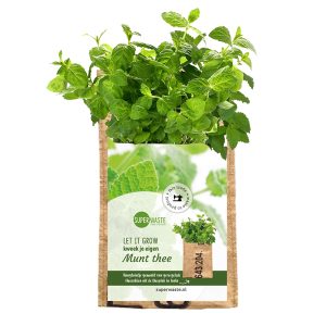 Hangtuintje Munt van gerecyclede Teambags