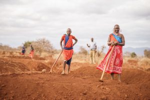 Maak de wereld groener en koeler: JUSTDIGGIT