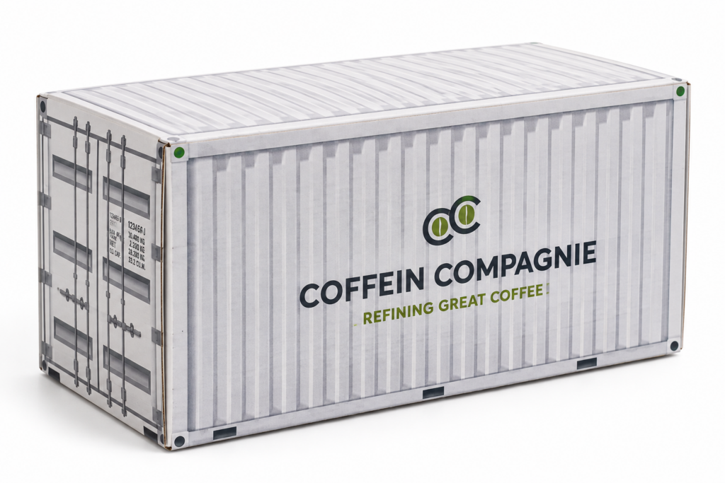 Kartonnen geschenkverpakking in zeecontainer vorm met logo