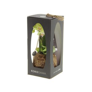 Hangplant als relatiegeschenk bedrukt met logo