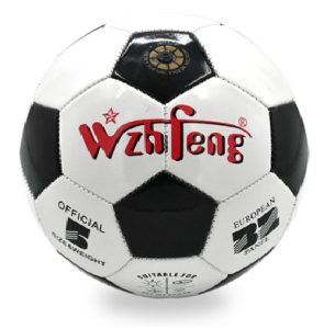 Vier het EK in Stijl met onze Gepersonaliseerde Voetballen!