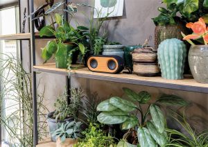 Oogt fraai, klinkt nóg beter – Bamboo X dubbele speaker
