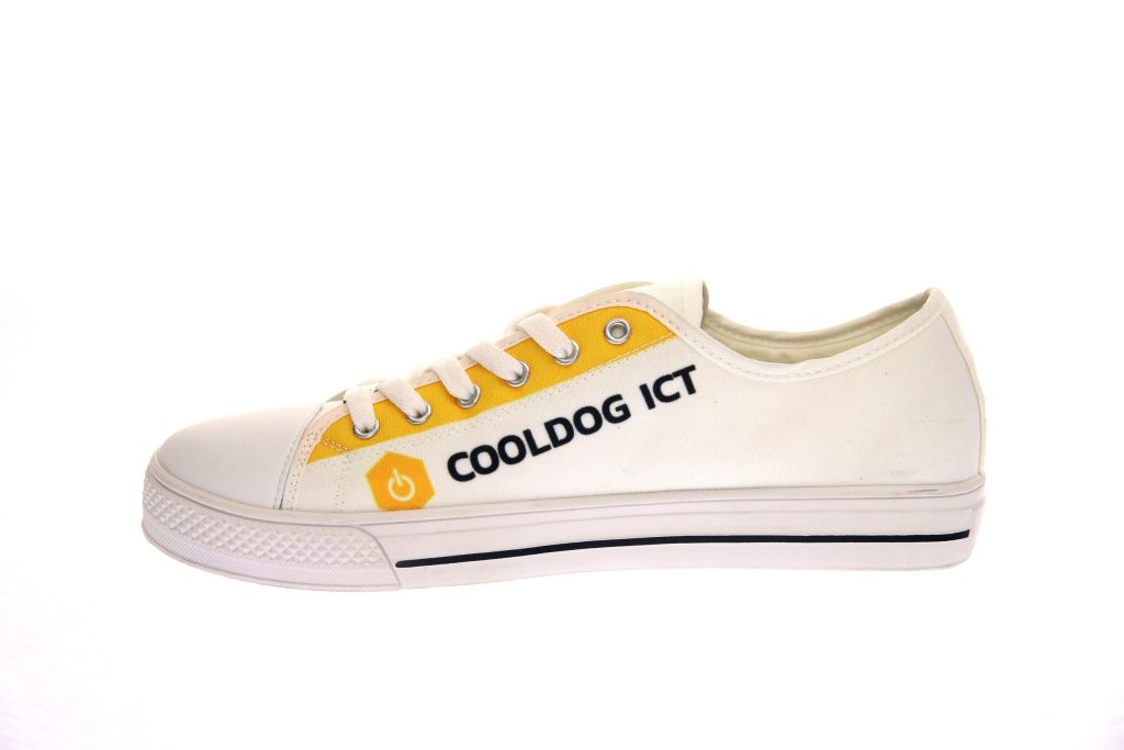 Promo sneaker canvas 2026