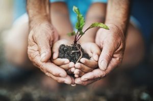 Nachhaltige Werbegeschenke und Werbegeschenke: W&auml;hlen Sie Smart f&uuml;r maximale Wirkung